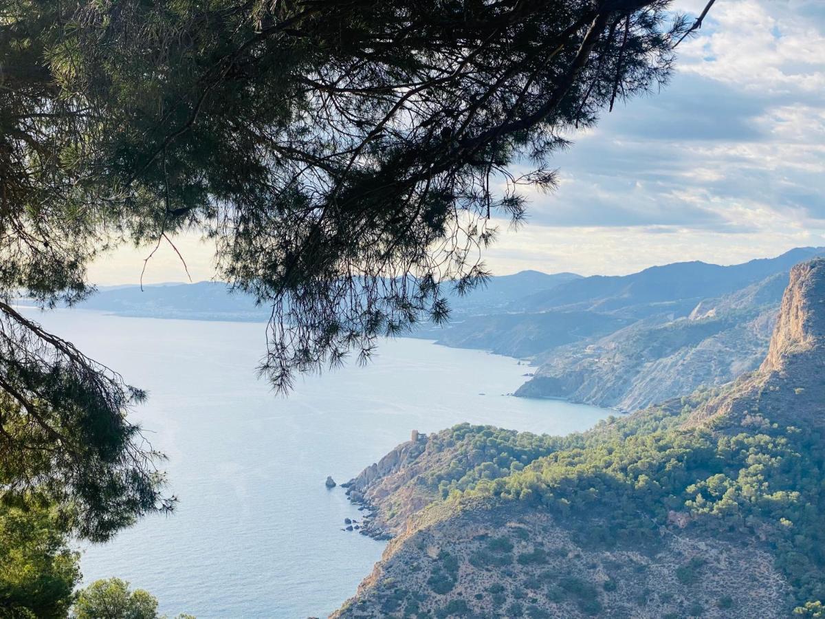 Jardines De Adnania En Marina Del Este Con Vistas Al Mar La Herradura  Bagian luar foto